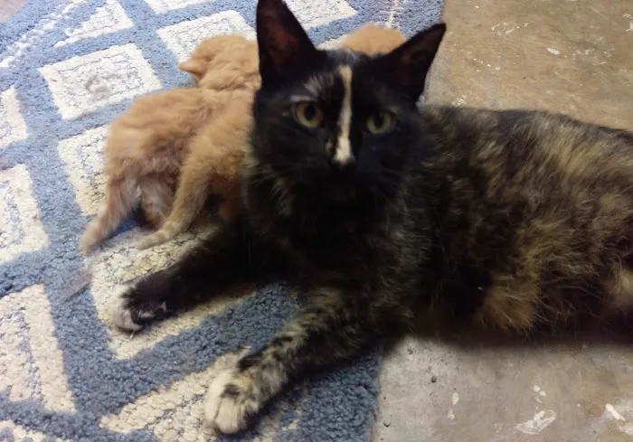 Parkside Animal Care Center 12