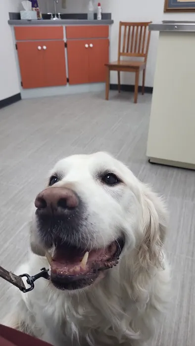 Oconto Veterinary Center 12