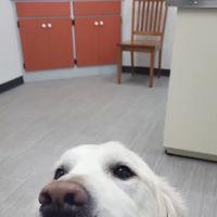Oconto Veterinary Center ico