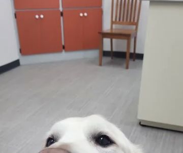 Oconto Veterinary Center