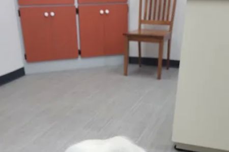 Oconto Veterinary Center