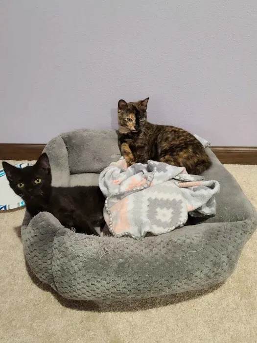 Spring Brook Veterinary Clinic 2