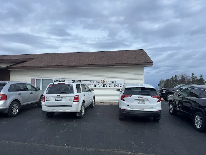 Spring Brook Veterinary Clinic 4
