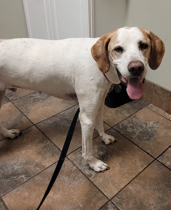 Spring Brook Veterinary Clinic 7