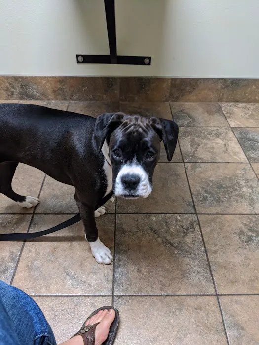 Spring Brook Veterinary Clinic 8