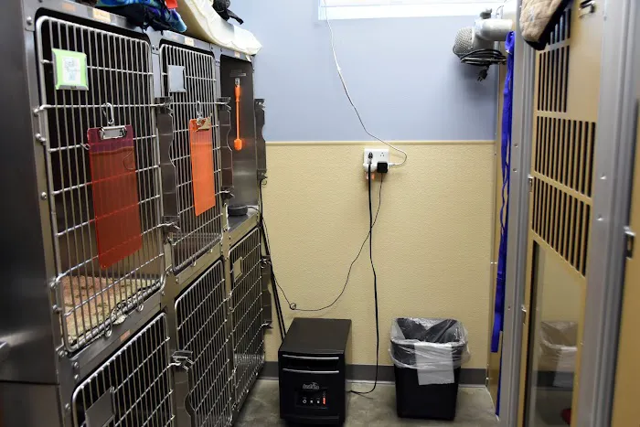 Wausau Animal Hospital 12