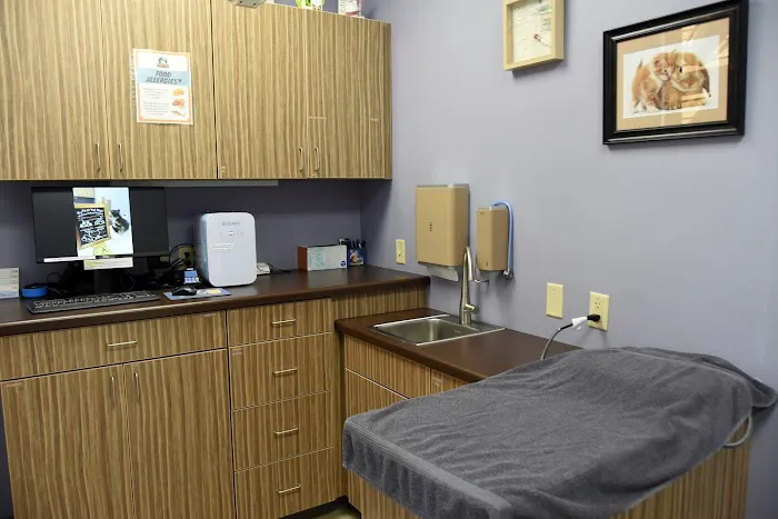 Wausau Animal Hospital 12