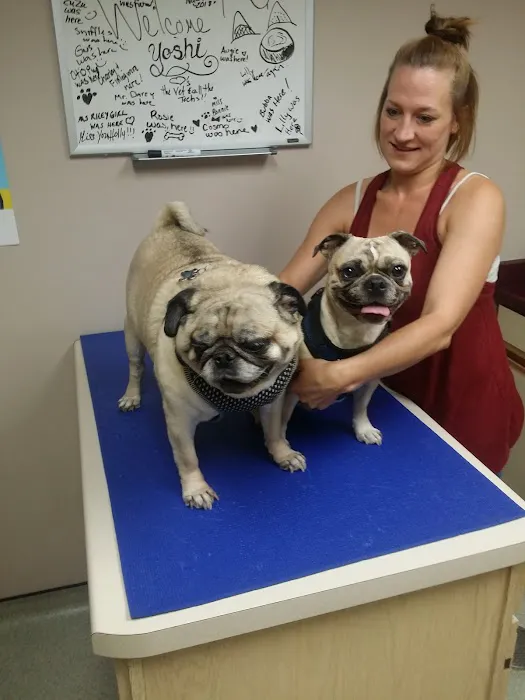 VCA Companion Care Animal Hospital 12