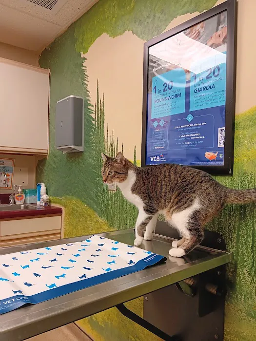 VCA Companion Care Animal Hospital 12