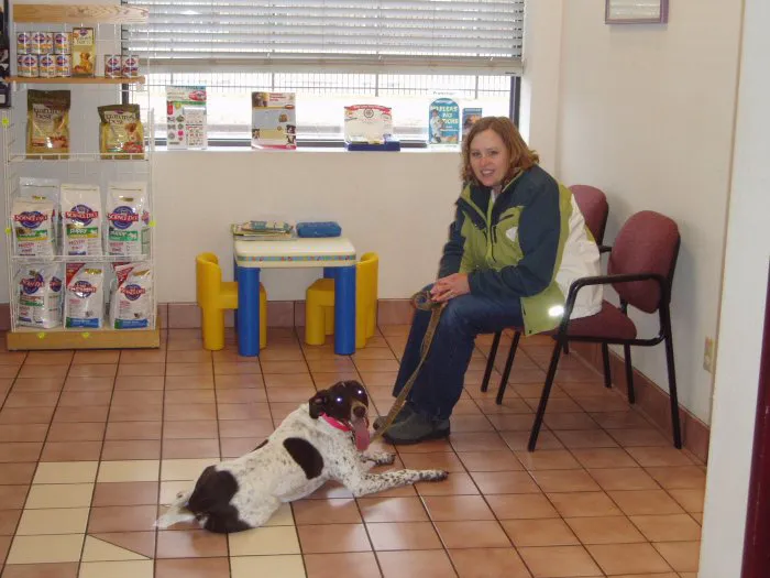 VCA Companion Care Animal Hospital 12
