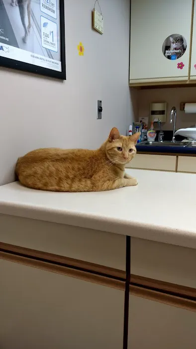 VCA Companion Care Animal Hospital 12