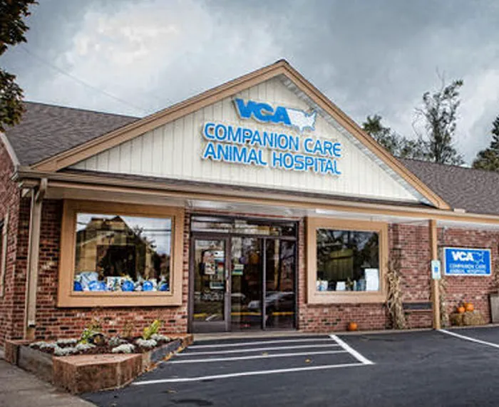 VCA Companion Care Animal Hospital 12