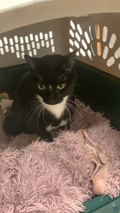 PetSmart Veterinary Services - Wausau 12