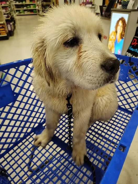 PetSmart Veterinary Services - Wausau 12