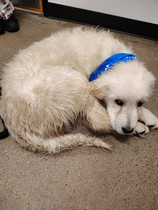PetSmart Veterinary Services - Wausau 12