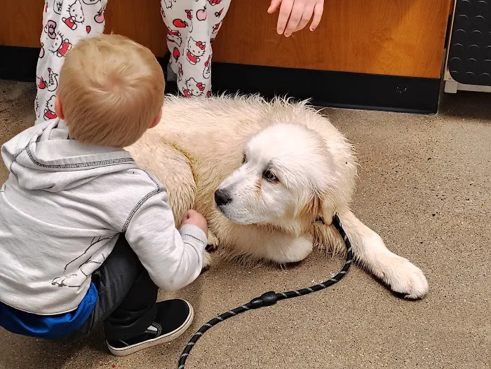 PetSmart Veterinary Services - Wausau 12