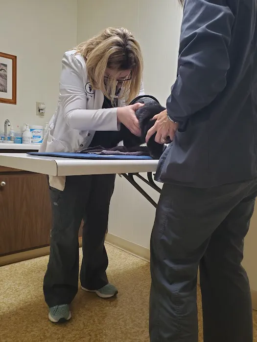 Marathon Animal Hospital 12