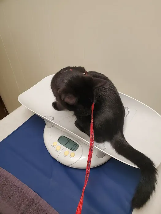 Marathon Animal Hospital 12