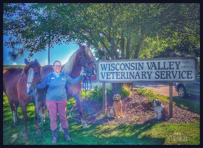 Wisconsin Valley Veterinary Service 12