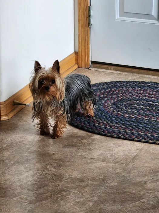 Kronenwetter Veterinary Care 12