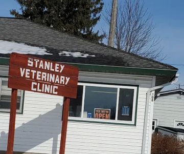 Stanley Veterinary Services