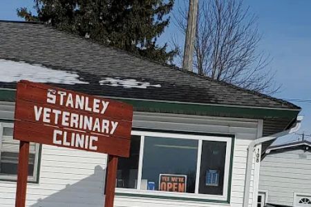 Stanley Veterinary Services