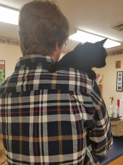 Four Seasons Veterinary Clinic 7