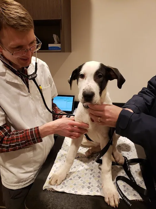 Four Seasons Veterinary Clinic 2