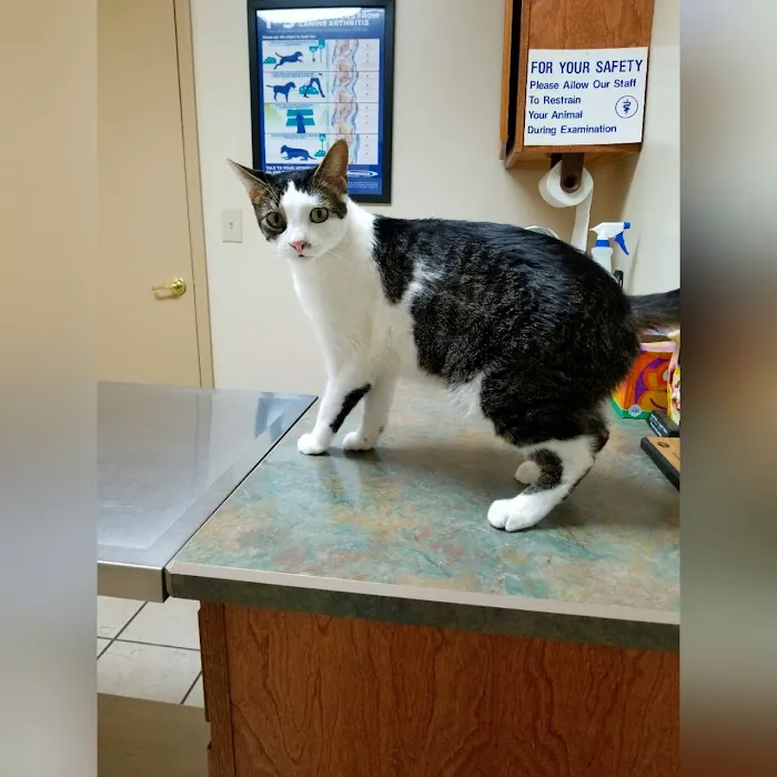 Waverly Veterinary Hospital Inc. 8