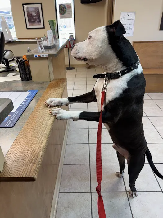 Waverly Veterinary Hospital Inc. 9