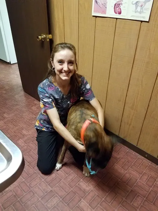 Town & Country Veterinary Clinic 12