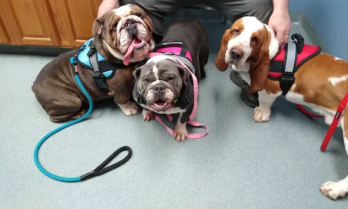 Kirkpatrick Animal Hospital 12