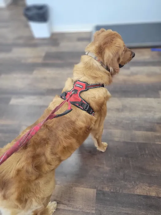 Kirkpatrick Animal Hospital 12