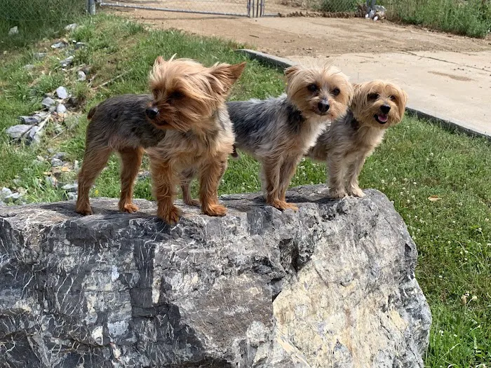 Riverbend Animal Clinic 12
