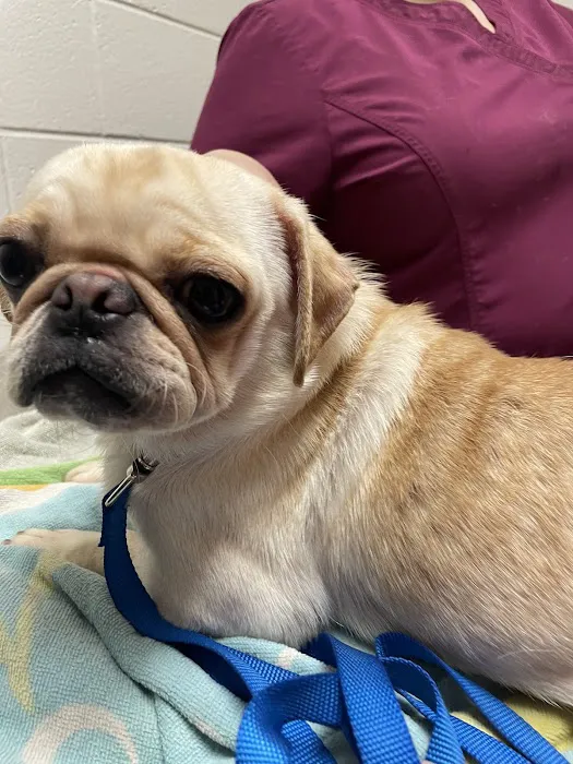 Riverbend Animal Clinic 12