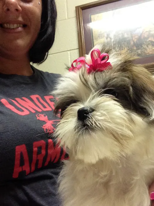 Riverbend Animal Clinic 12