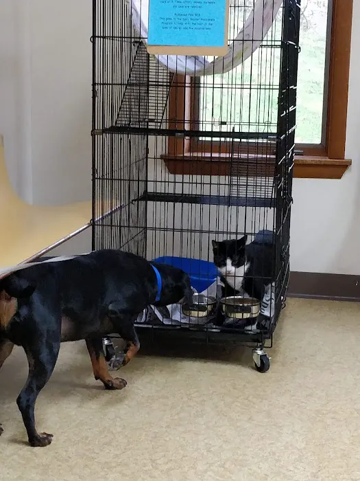 French Town Veterinary Clinic 12