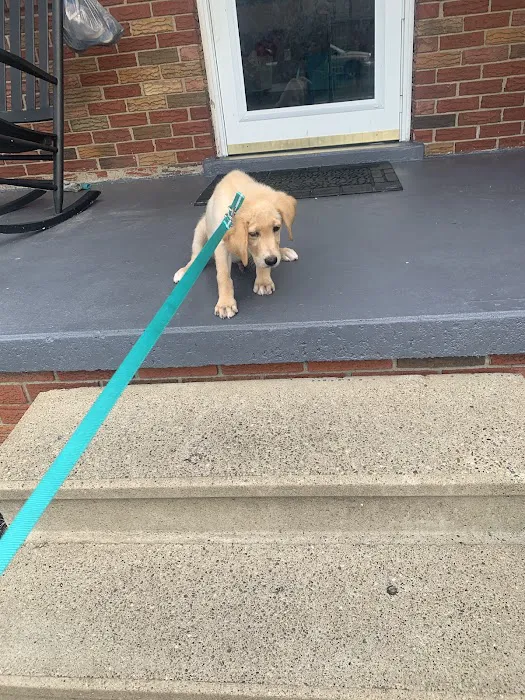Belpre Animal Clinic 9