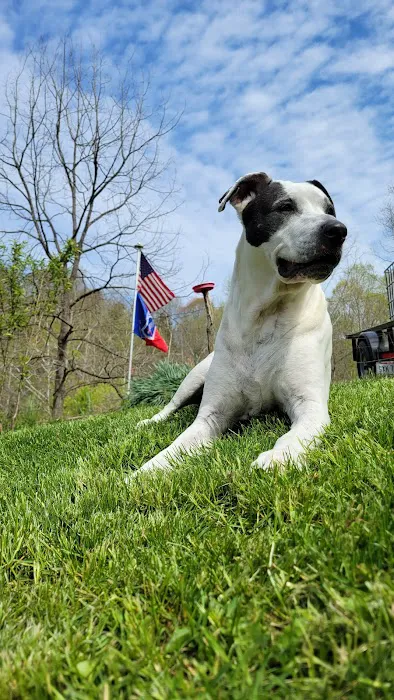 Belpre Animal Clinic 4
