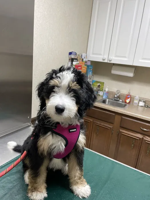 Belpre Animal Clinic 1