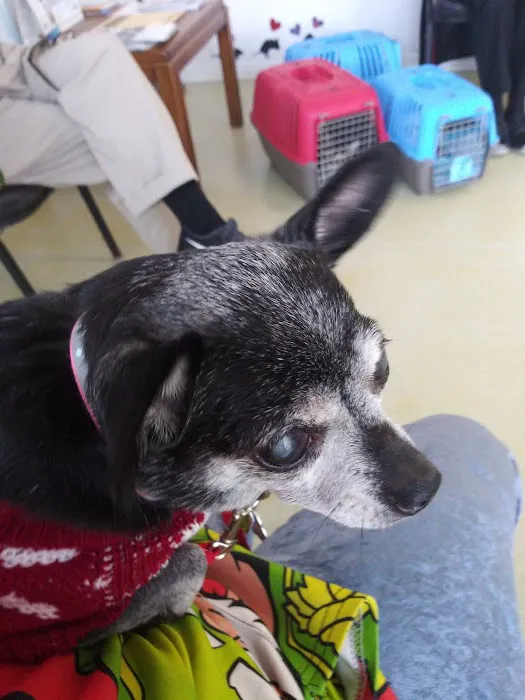 Ohio Valley Veterinary Hospital 9