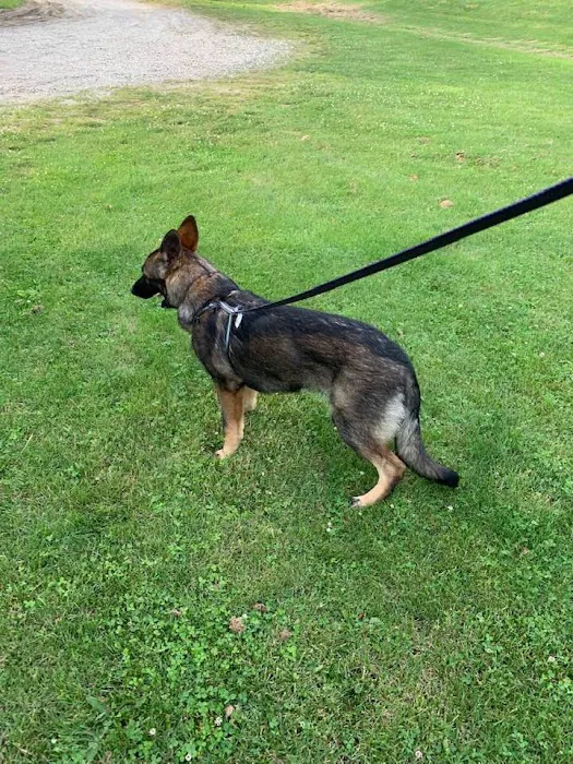 Morgan Veterinary Services 6