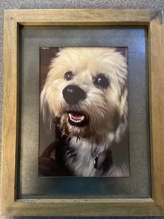 Williamstown Animal Hospital 2