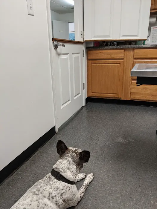 Williamstown Animal Hospital 1