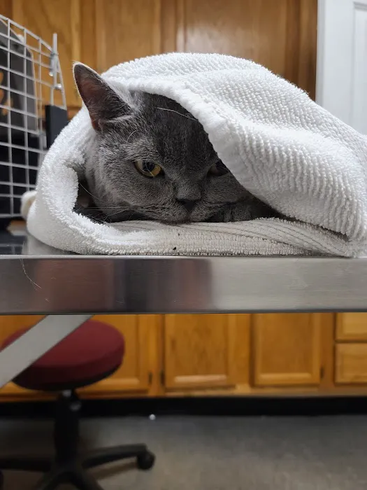 Williamstown Animal Hospital 9