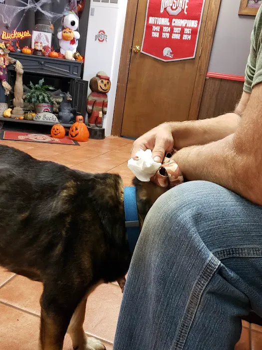 Colonial Animal Hospital 12
