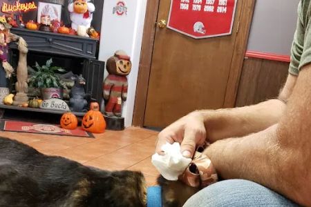 Colonial Animal Hospital