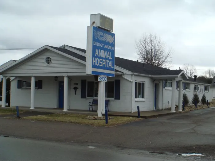 VCA Dudley Avenue Animal Hospital 12