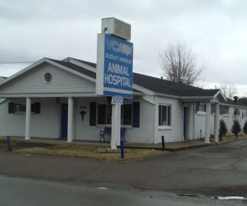 VCA Dudley Avenue Animal Hospital