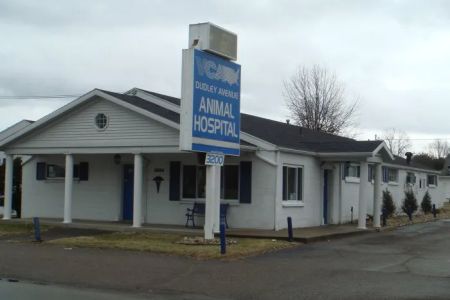 VCA Dudley Avenue Animal Hospital